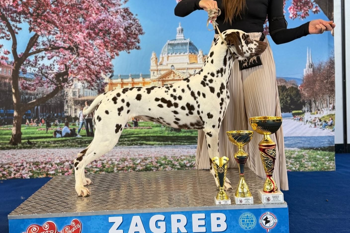 586036814_1566143721092693_7595274086899728948_n